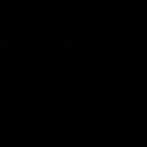 Meet your Posher, Rita